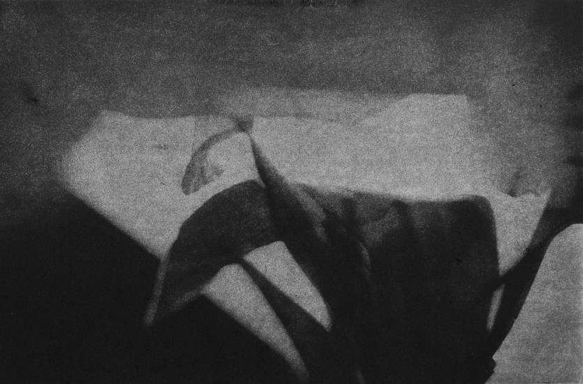 Organic composition VII | 2017 | 38x58cm | photogravure